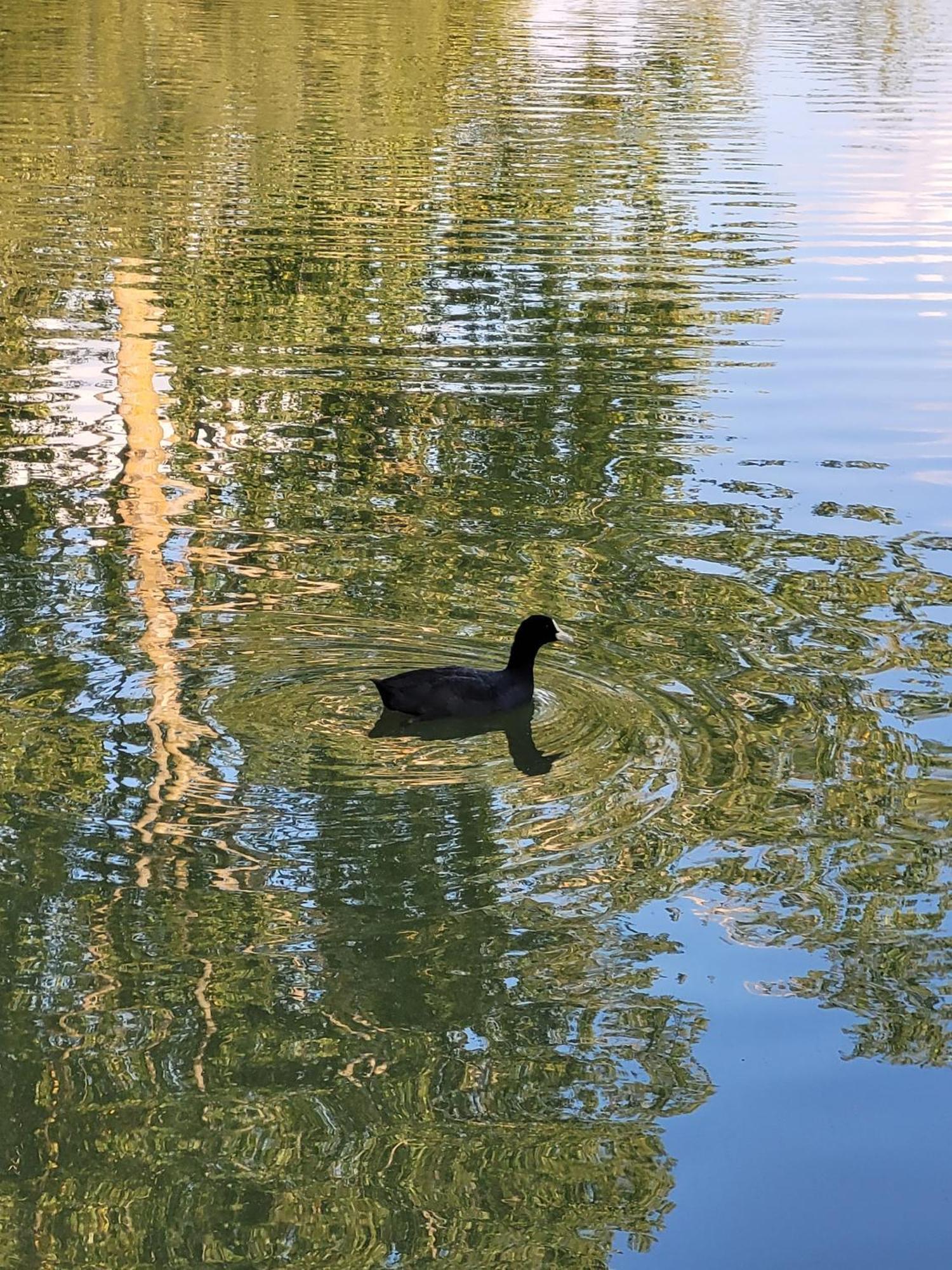Residence Du Lac-Disneyland Paris-Tarif Familial Émerainville Zewnętrze zdjęcie